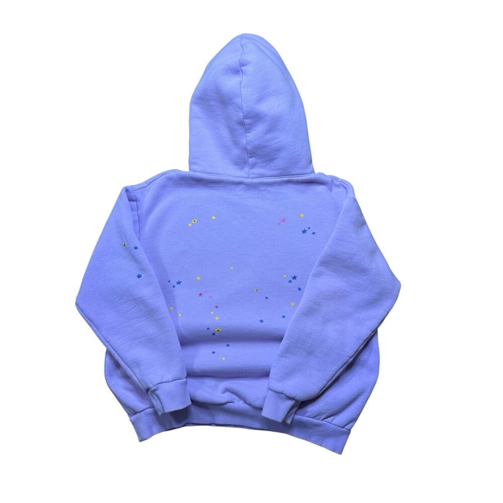 Spider Acai Web Hoodie Size Small Purple Sp5der ( Stain) - Picture 2 of 11